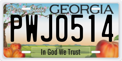 GA license plate PWJ0514
