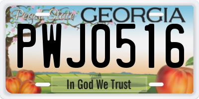 GA license plate PWJ0516