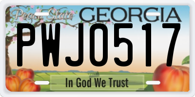 GA license plate PWJ0517
