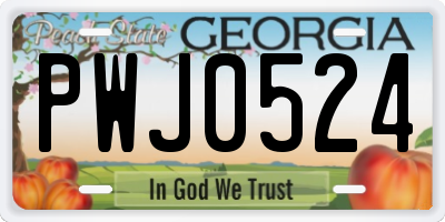 GA license plate PWJ0524