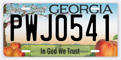 GA license plate PWJ0541