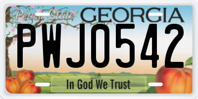 GA license plate PWJ0542