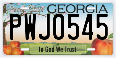 GA license plate PWJ0545