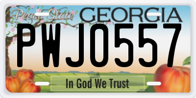 GA license plate PWJ0557
