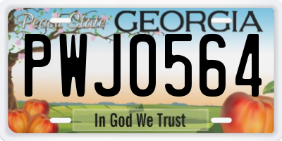 GA license plate PWJ0564