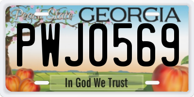 GA license plate PWJ0569