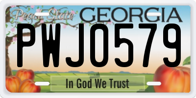 GA license plate PWJ0579