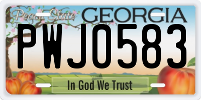 GA license plate PWJ0583