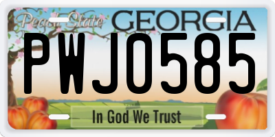 GA license plate PWJ0585