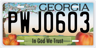 GA license plate PWJ0603