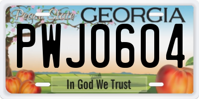 GA license plate PWJ0604