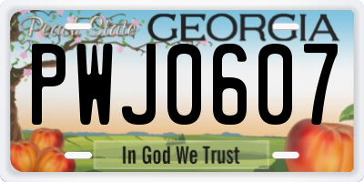 GA license plate PWJ0607