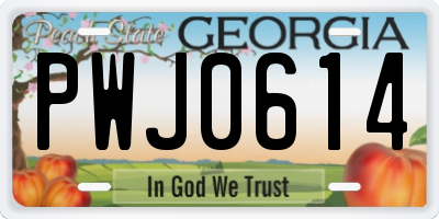 GA license plate PWJ0614