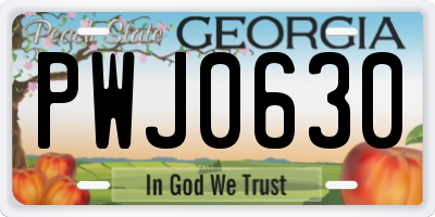 GA license plate PWJ0630