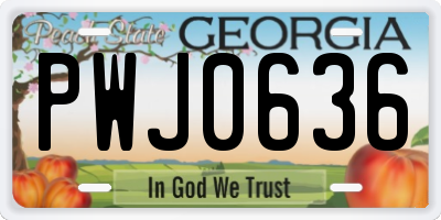 GA license plate PWJ0636