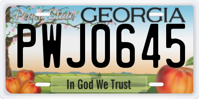 GA license plate PWJ0645