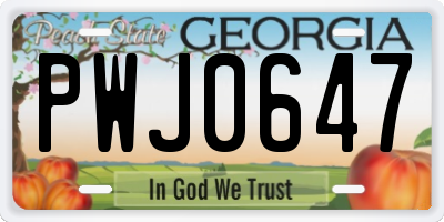 GA license plate PWJ0647