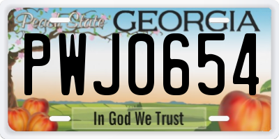 GA license plate PWJ0654