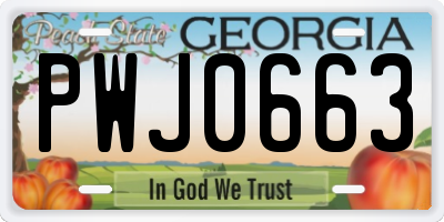 GA license plate PWJ0663