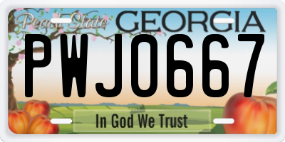 GA license plate PWJ0667