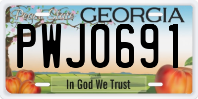 GA license plate PWJ0691