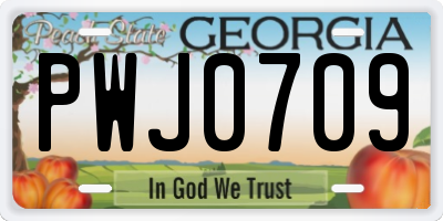 GA license plate PWJ0709