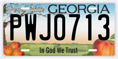 GA license plate PWJ0713