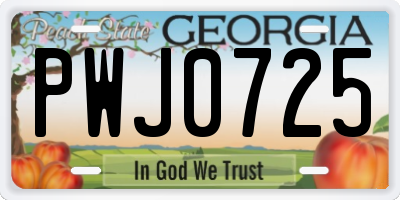 GA license plate PWJ0725