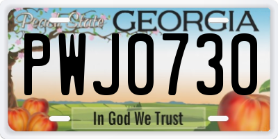 GA license plate PWJ0730