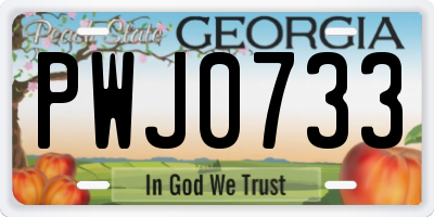 GA license plate PWJ0733