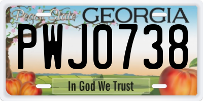GA license plate PWJ0738