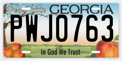 GA license plate PWJ0763