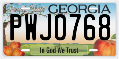 GA license plate PWJ0768