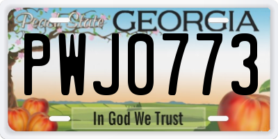 GA license plate PWJ0773