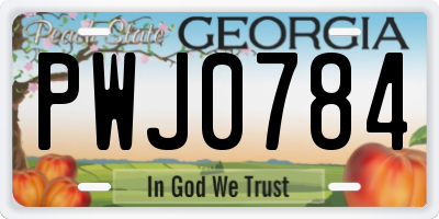 GA license plate PWJ0784