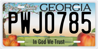 GA license plate PWJ0785