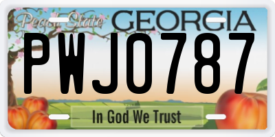 GA license plate PWJ0787