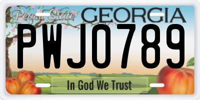 GA license plate PWJ0789