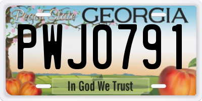 GA license plate PWJ0791