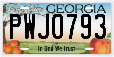 GA license plate PWJ0793