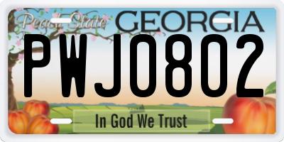 GA license plate PWJ0802