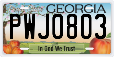 GA license plate PWJ0803