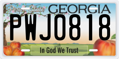 GA license plate PWJ0818