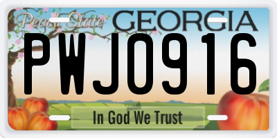 GA license plate PWJ0916