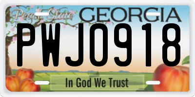 GA license plate PWJ0918