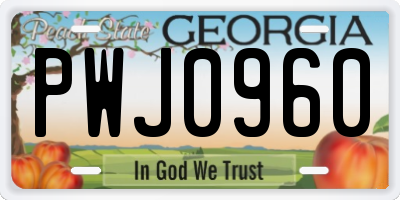 GA license plate PWJ0960