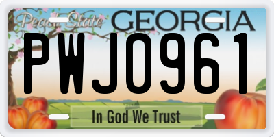 GA license plate PWJ0961