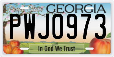 GA license plate PWJ0973