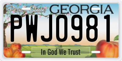 GA license plate PWJ0981