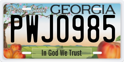 GA license plate PWJ0985